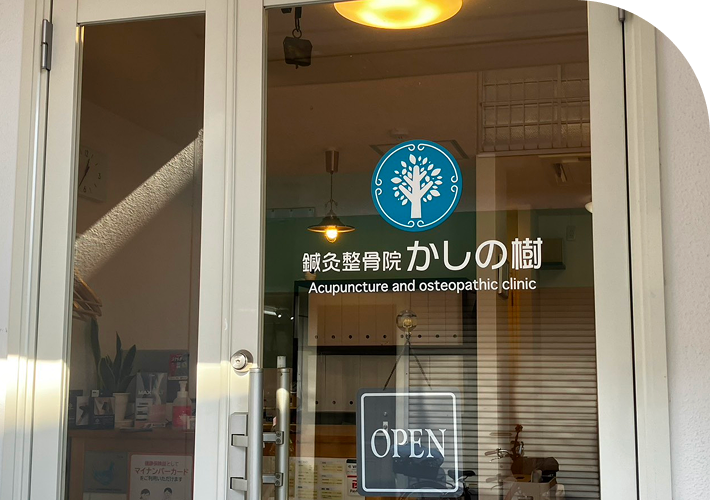 かしの樹のドア写真